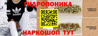 прущие крисы Комсомольск-на-Амуре