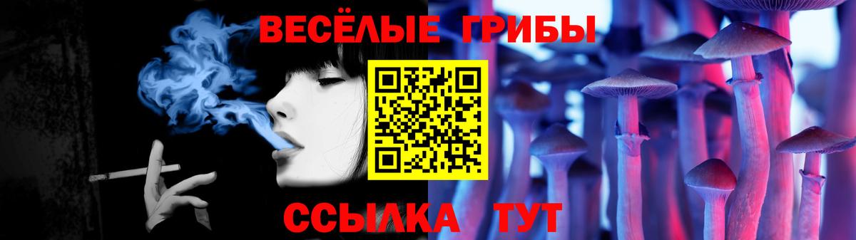 Кудымкар  Псилоцибиновые грибы Psilocybine cubensis  Вход с VPN 